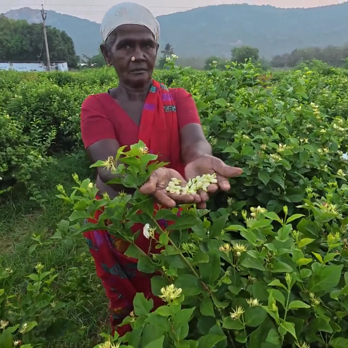 Empowering Communities