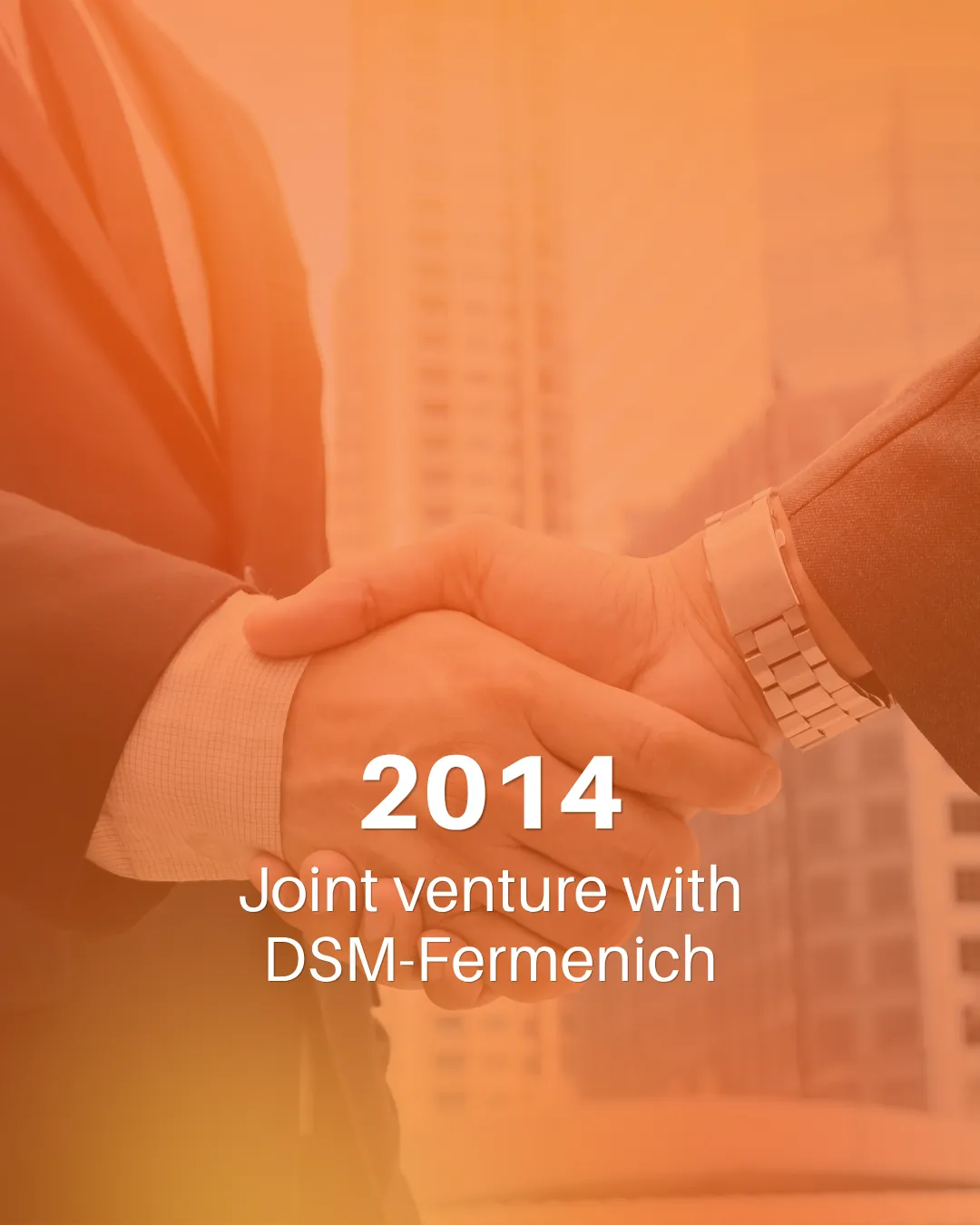Joint Venture – DSM Firmenich
