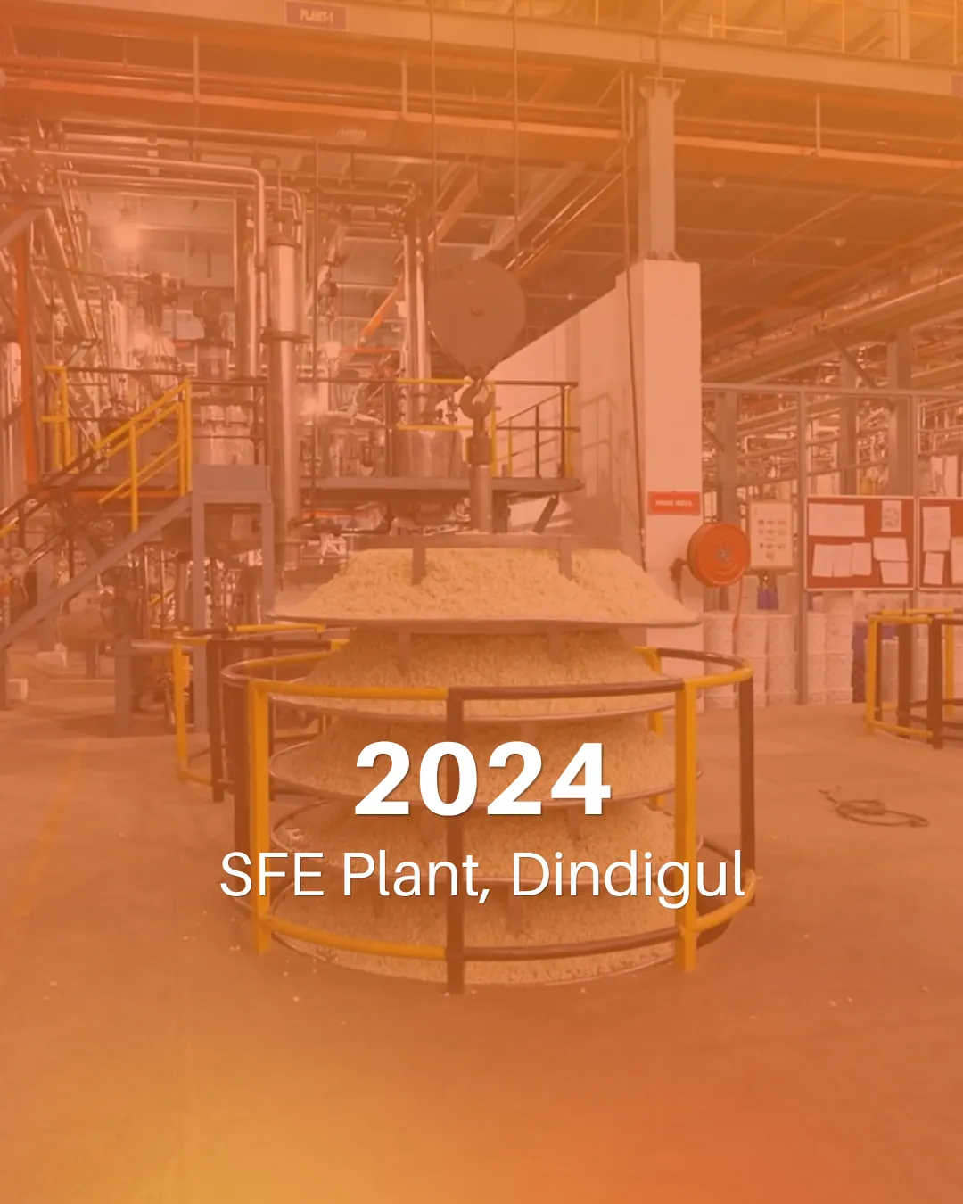 SFE Plant, Dindigul — since 2024
