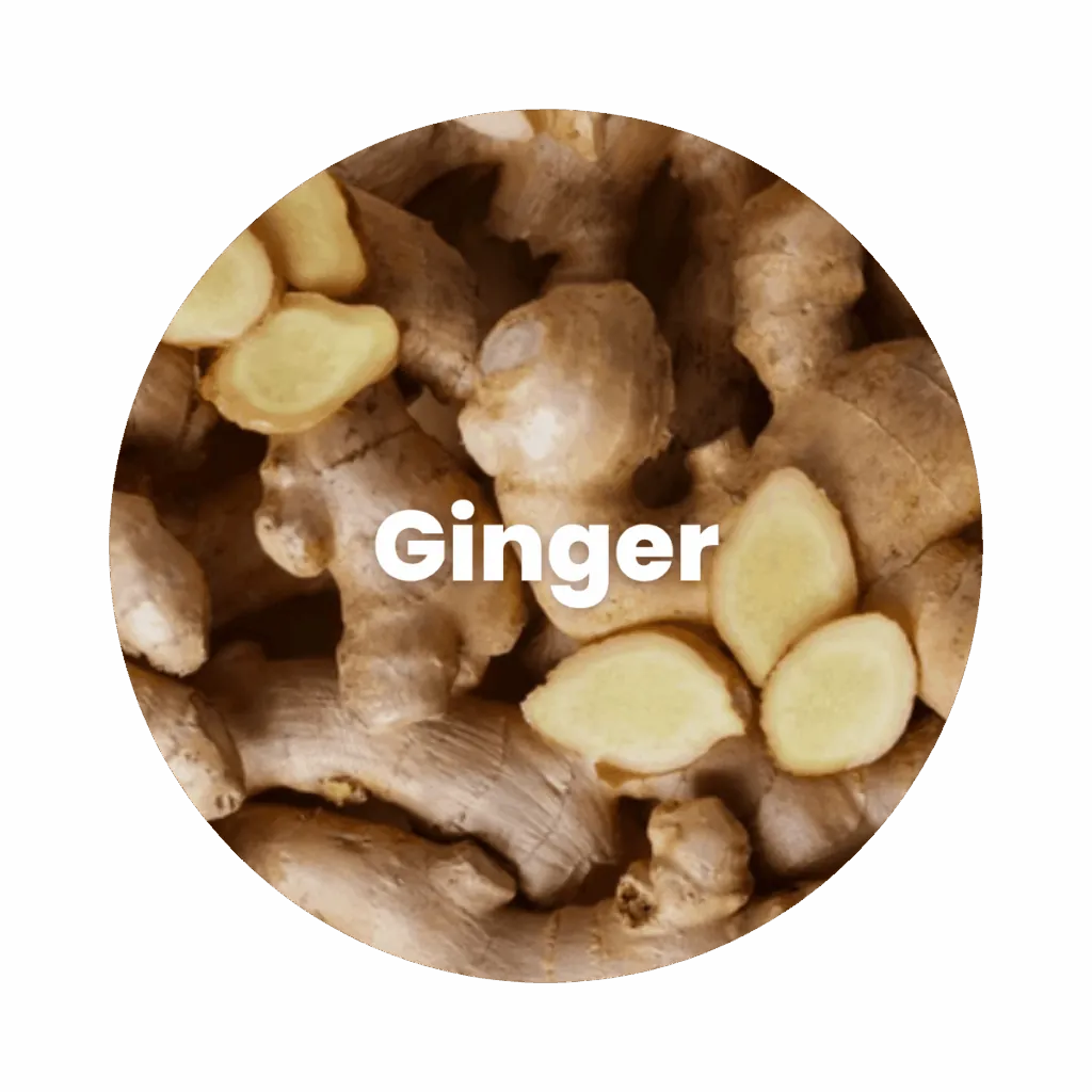Ginger Oleoresin