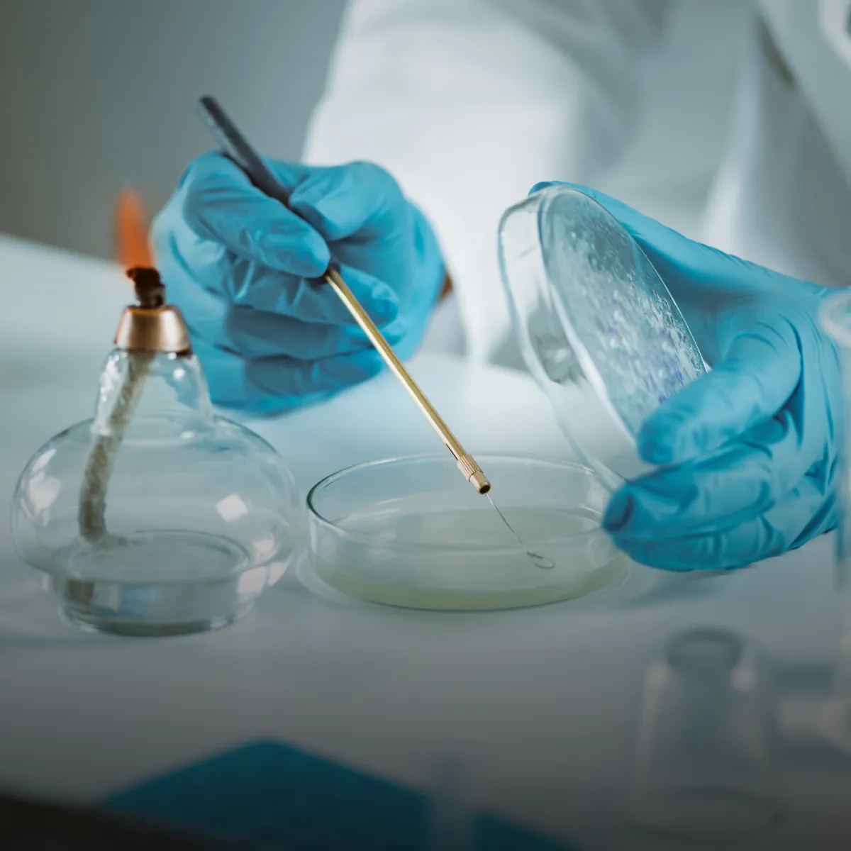 Microbiology Testing