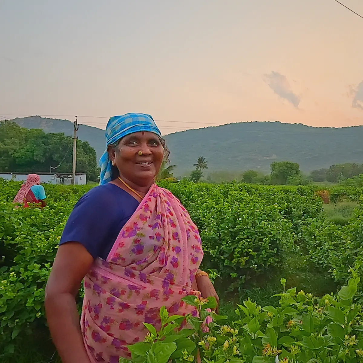 Ethical Sourcing
