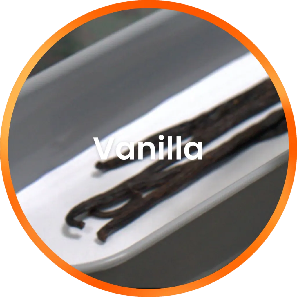 Vanilla
